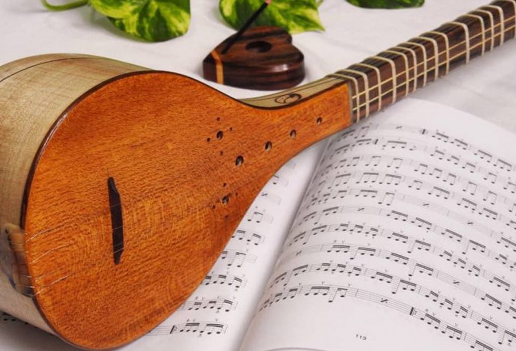 سن مناسب برای یادگیری سازهای ایرانی دوتار و سه تار